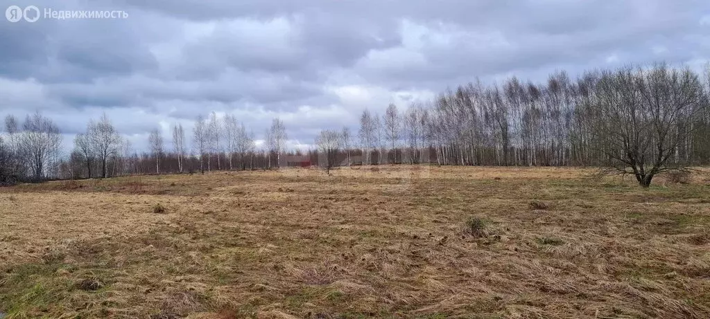 Участок в Московская область, городской округ Коломна, деревня ... - Фото 2