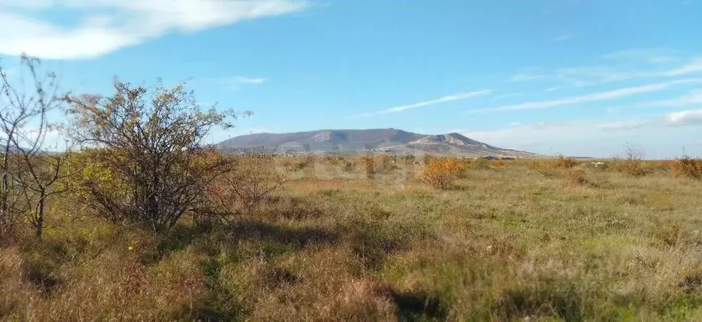 Участок в Крым, Кировский район, Первомайское с/пос, с. Изюмовка ул. ... - Фото 1