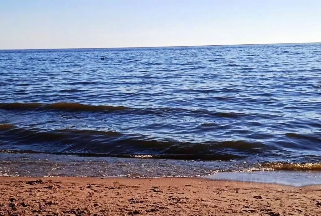 Участок в Санкт-Петербург, Санкт-Петербург, Сестрорецк Парковая ул., ... - Фото 1