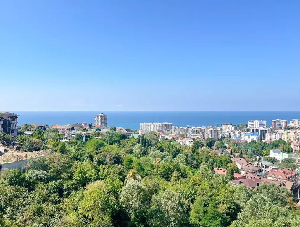 2-к кв. Краснодарский край, Сочи Виноградная ул., 195/1 (60.0 м) - Фото 1