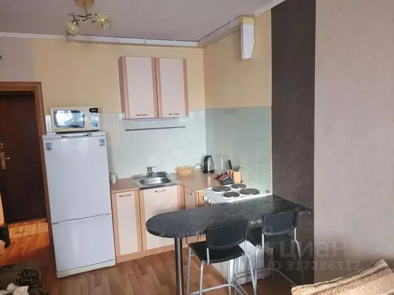 Студия Новосибирская область, Новосибирск Рябиновая ул., 10/1 (24.0 м) - Фото 0