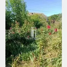 Участок 5 сот. (СНТ, ДНП) - Фото 1