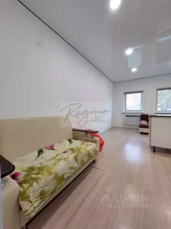 1-к кв. Башкортостан, Уфа ул. Степана Разина, 28 (55.0 м) - Фото 1