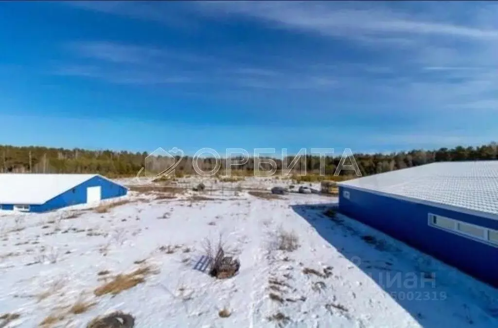 Помещение свободного назначения в Тюменская область, Нижнетавдинский ... - Фото 1