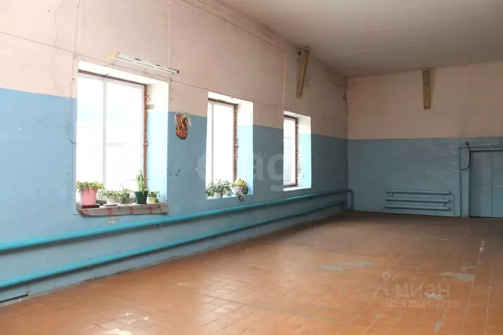 Склад в Курганская область, Шумиха ул. Гоголя, 141 (3200 м) - Фото 1