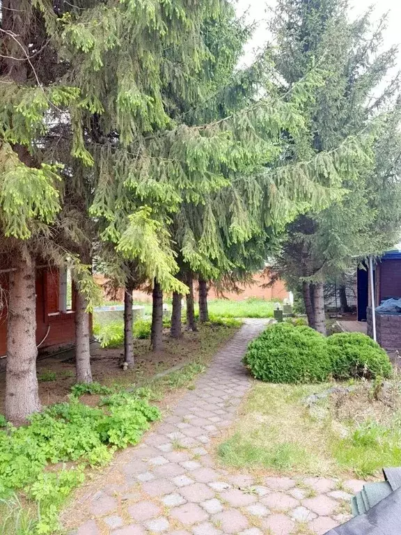 Дом в Омская область, Омск СОСН Заря-3 тер., аллея 5-я (41 м) - Фото 2