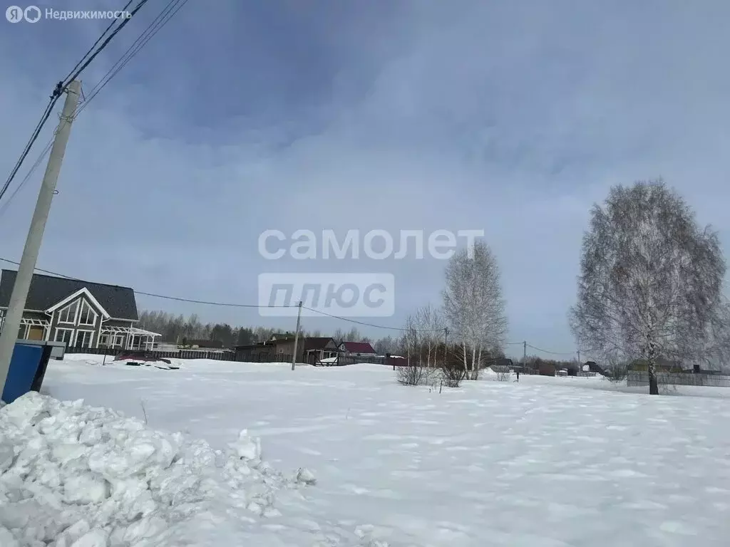 Участок в Новосибирская область, Коченёвский муниципальный район, СНТ ... - Фото 1