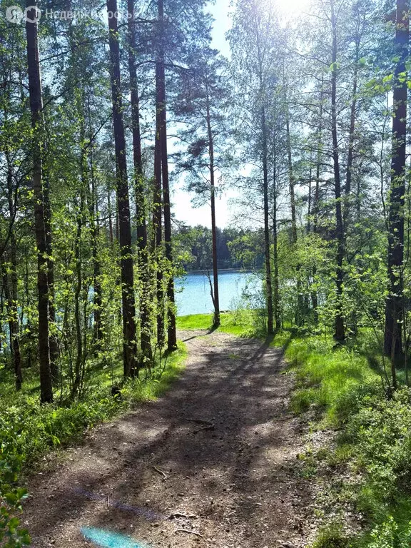 Дом в Выборгский район, Полянское сельское поселение, садоводческое ... - Фото 0