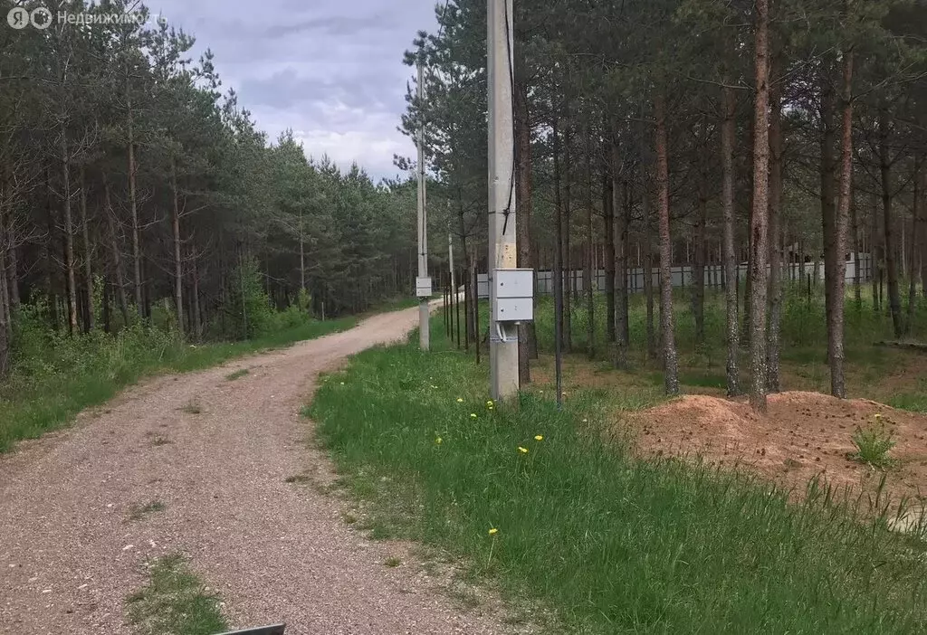 Участок в Кривск, Полевая улица (15 м) - Фото 1