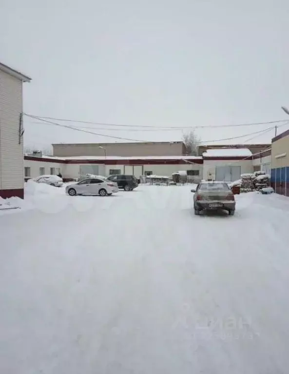 Помещение свободного назначения в Татарстан, Елабуга ул. Строителей, ... - Фото 1