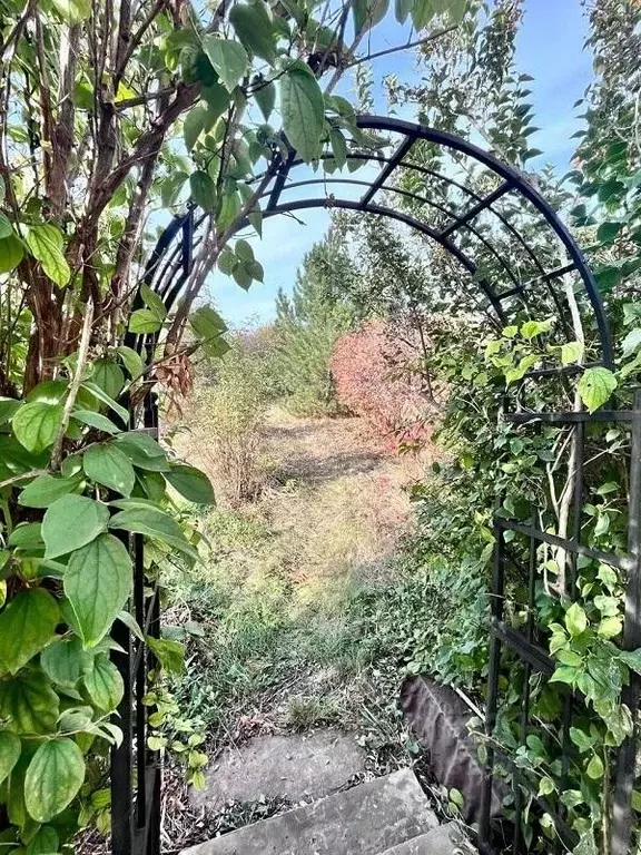 Дом в Самарская область, Кинельский район, Домашка с/пос, с. Домашка ... - Фото 0