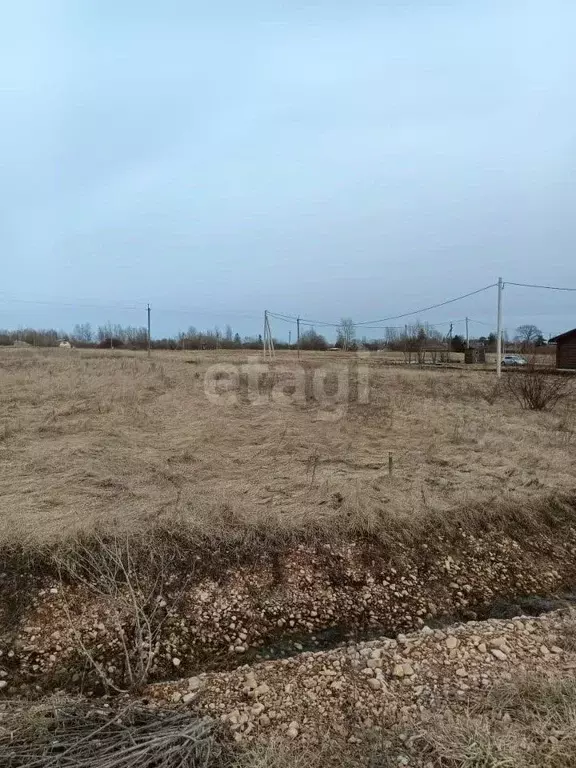 Участок в Новгородская область, Старорусский район, Наговское с/пос, ... - Фото 1