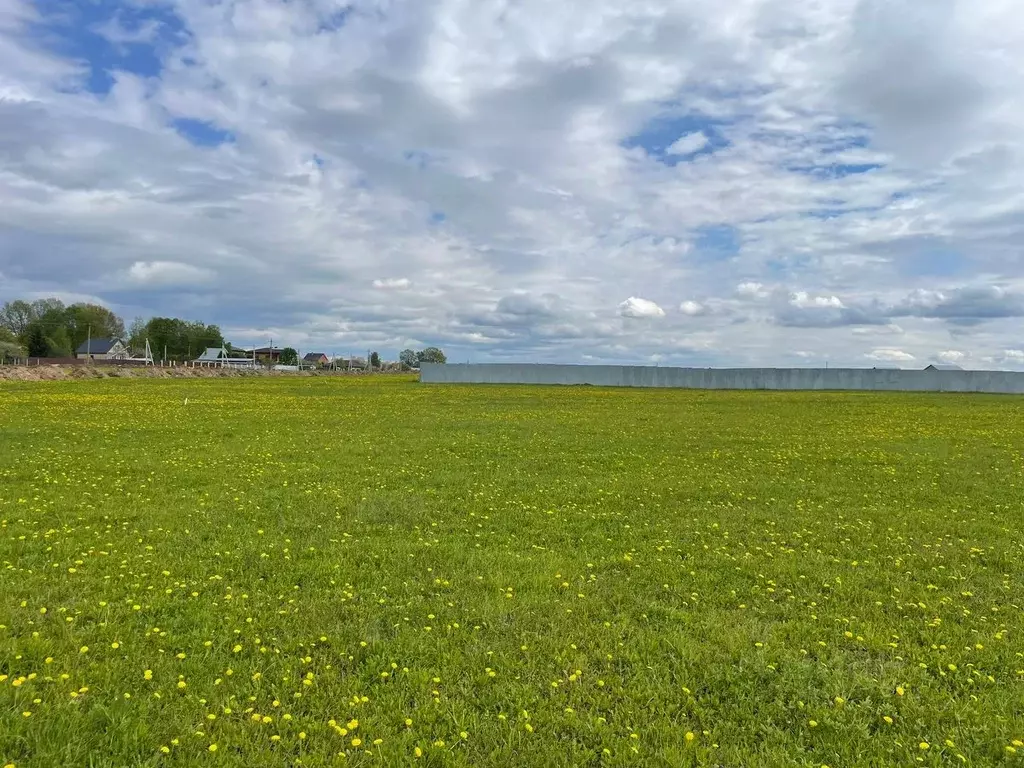 Участок в Московская область, Раменский городской округ, с. Синьково  ... - Фото 1