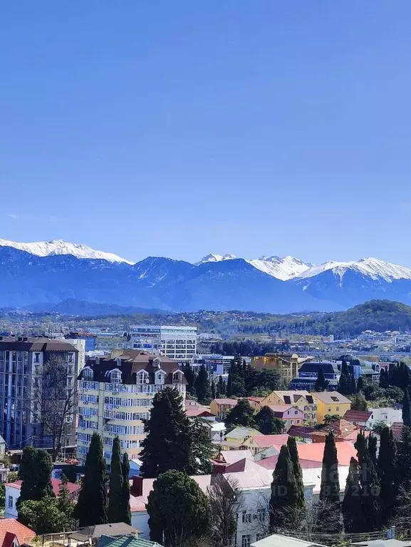 3-к кв. Краснодарский край, Сочи пер. Богдана Хмельницкого, 8 (103.0 ... - Фото 2