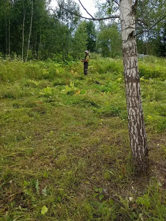 Участок в Московская область, Наро-Фоминский городской округ, д. ... - Фото 1