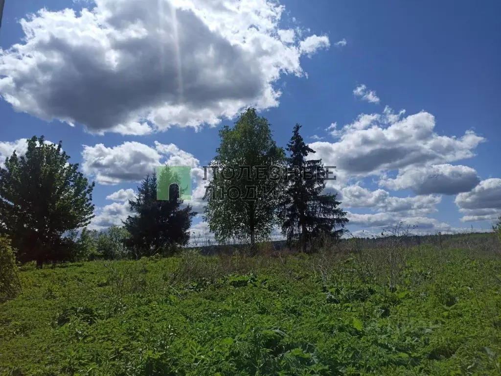 Участок в Орловская область, Мценский район, Алябьевское с/пос, д. ... - Фото 2