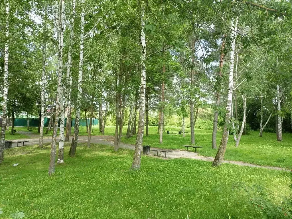 Участок в Калужская область, пос. Бабынино ул. Советская (17.45 сот.) - Фото 1