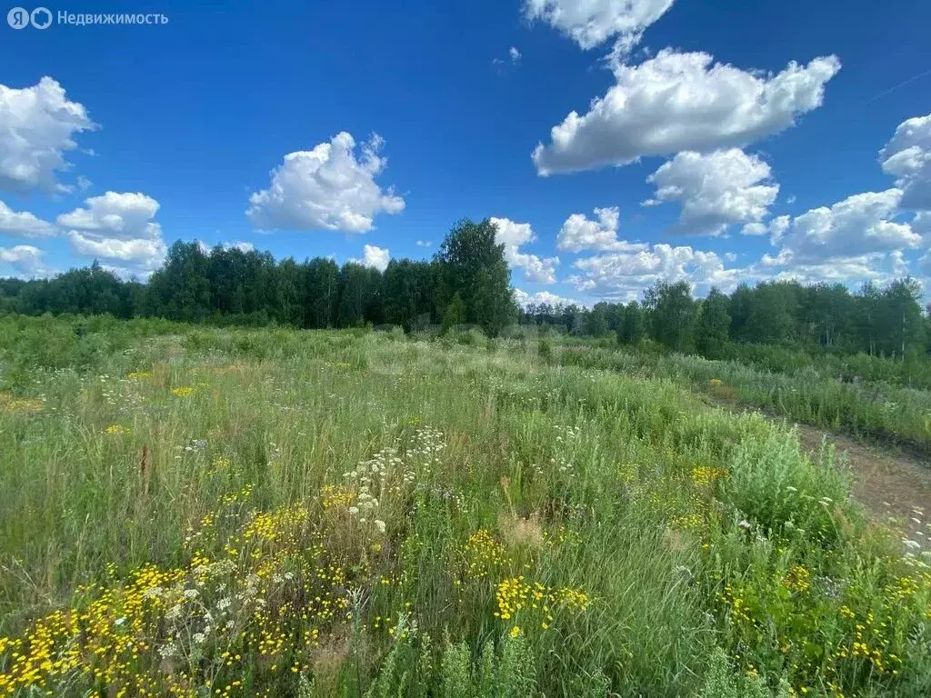 Участок в Свердловская область, Тавда (10 м) - Фото 1