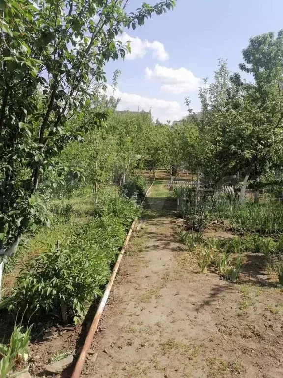 Участок 6,5 сот. (СНТ, ДНП) - Фото 0