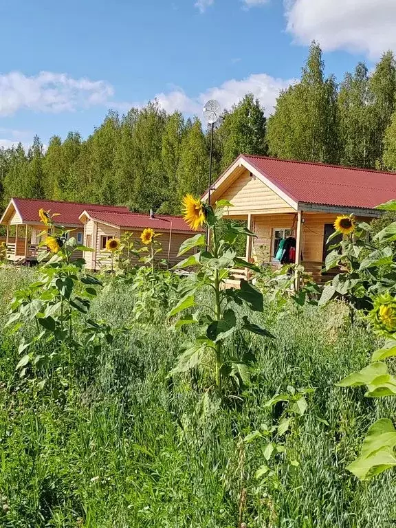 Дом в Новгородская область, Чудово  (50 м) - Фото 2
