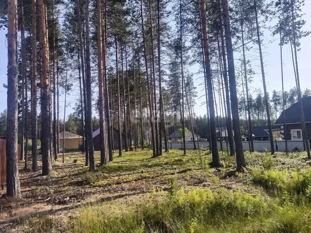 Участок в Коми, Сыктывкар городской округ, Верхняя Максаковка пгт, ... - Фото 0