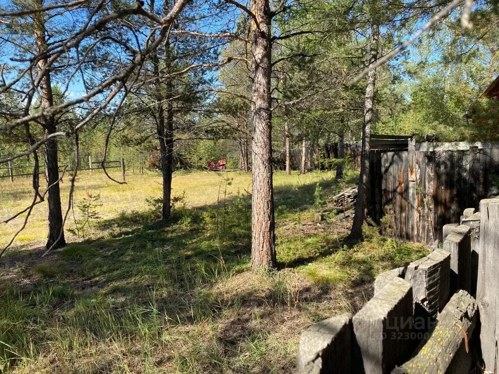 Участок в Саха (Якутия), Якутск городской округ, с. Маган  (12.0 сот.) - Фото 1