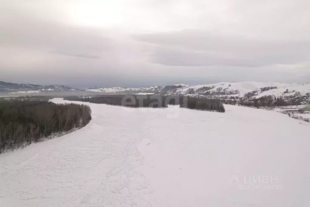 Участок в Алтайский край, Алтайский район, Айский сельсовет, с. Ая ул. ... - Фото 1
