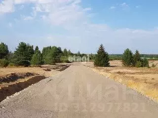 Участок в Ленинградская область, Приозерский район, Запорожское с/пос, ... - Фото 1