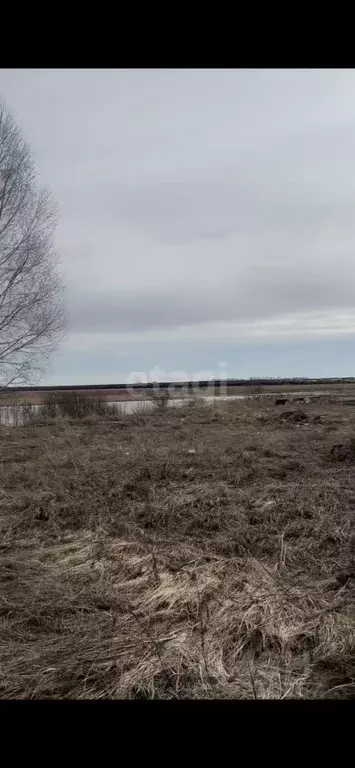 Участок в Татарстан, Тукаевский район, Азьмушкинское с/пос, Санаръ СНТ ... - Фото 0