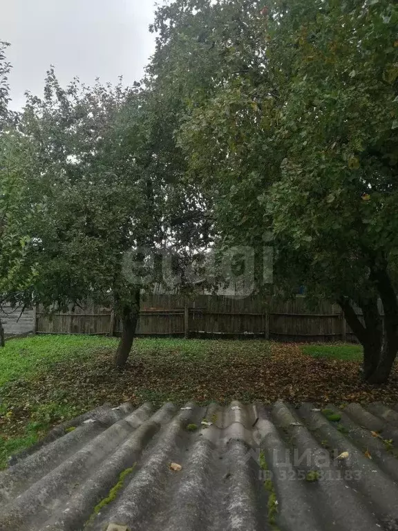 Дом в Брянская область, Брасовский район, Погребское с/пос, д. Погребы ... - Фото 2