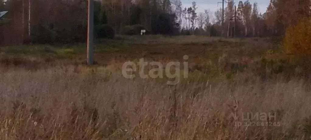 Участок в Псковская область, Порховский муниципальный округ, д. ... - Фото 0