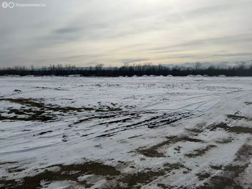 Участок в село Шалушка, Береговая улица, 65 (6 м) - Фото 2