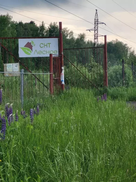 Дом в Владимирская область, Собинский муниципальный округ, Лесное СНТ ... - Фото 1
