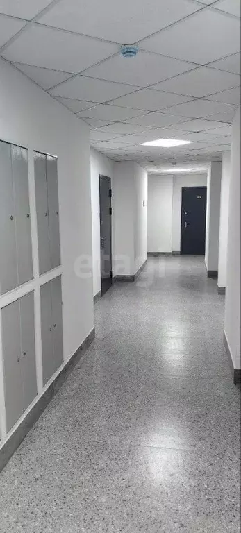 Студия Кемеровская область, Кемерово Ленинградский просп., 46 (27.1 м) - Фото 2