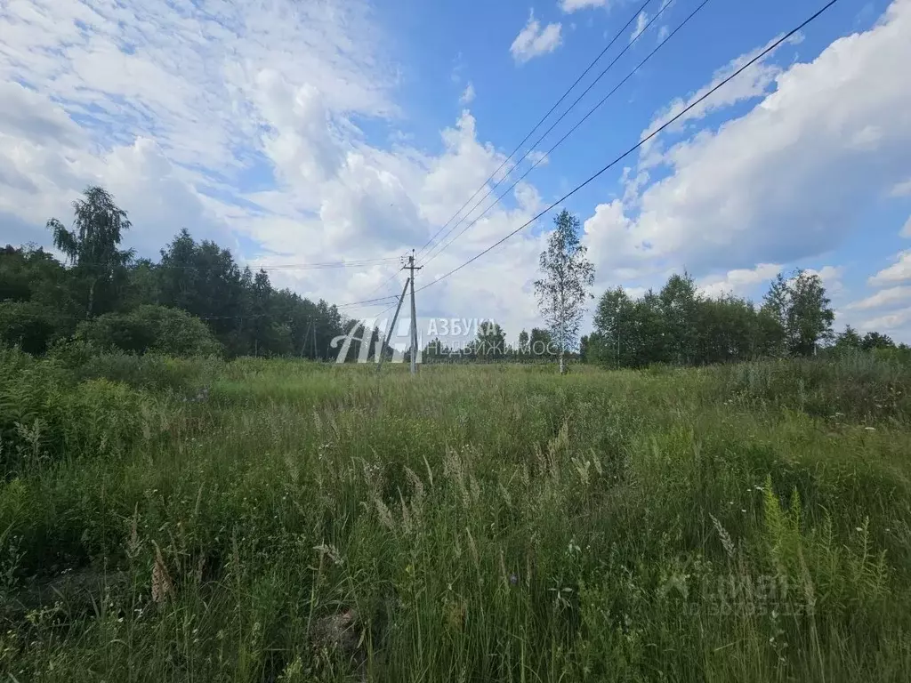 Участок в Московская область, Ногинск Богородский городской округ, ул. ... - Фото 0