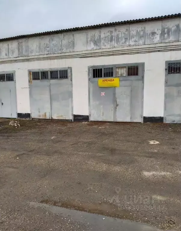 Помещение свободного назначения в Краснодарский край, Каневская ст-ца ... - Фото 2