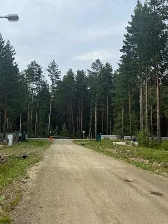Участок в Свердловская область, Сысертский муниципальный округ, ... - Фото 1