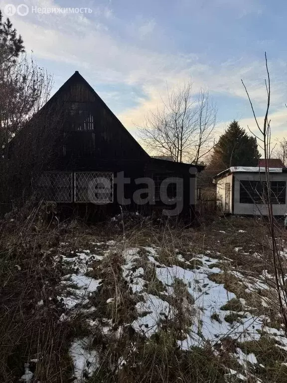 Участок в Болотнинский район, деревня Старобибеево, Кедровая улица ... - Фото 1