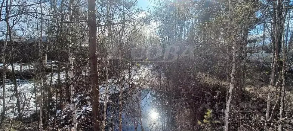 Участок в Тюменская область, Тобольск Фортуна садоводческое ... - Фото 1