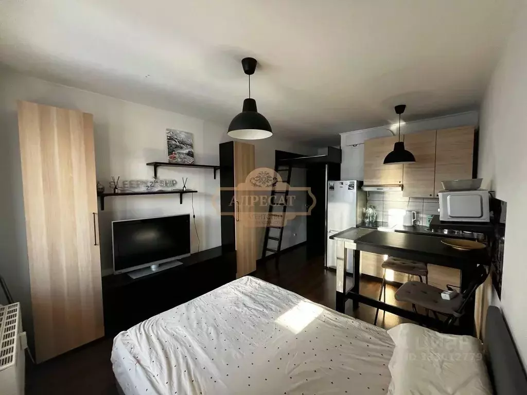 Студия Санкт-Петербург просп. Ветеранов, 169к1 (23.7 м) - Фото 1