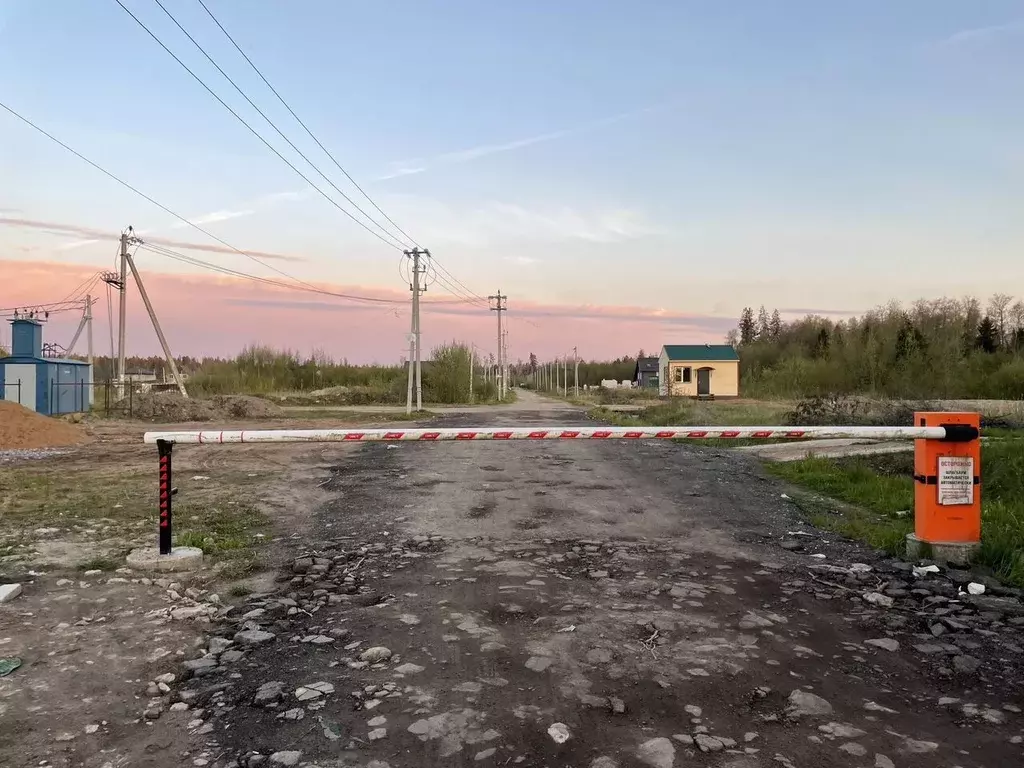 Участок в Ленинградская область, Сосновый Бор Рублевка кп,  (11.0 ... - Фото 1