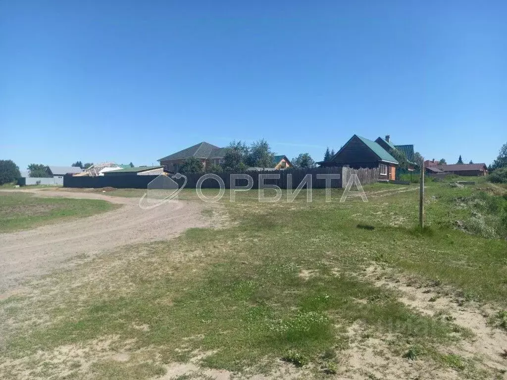 Участок в Тюменская область, Тюменский муниципальный округ, с. Борки ... - Фото 2