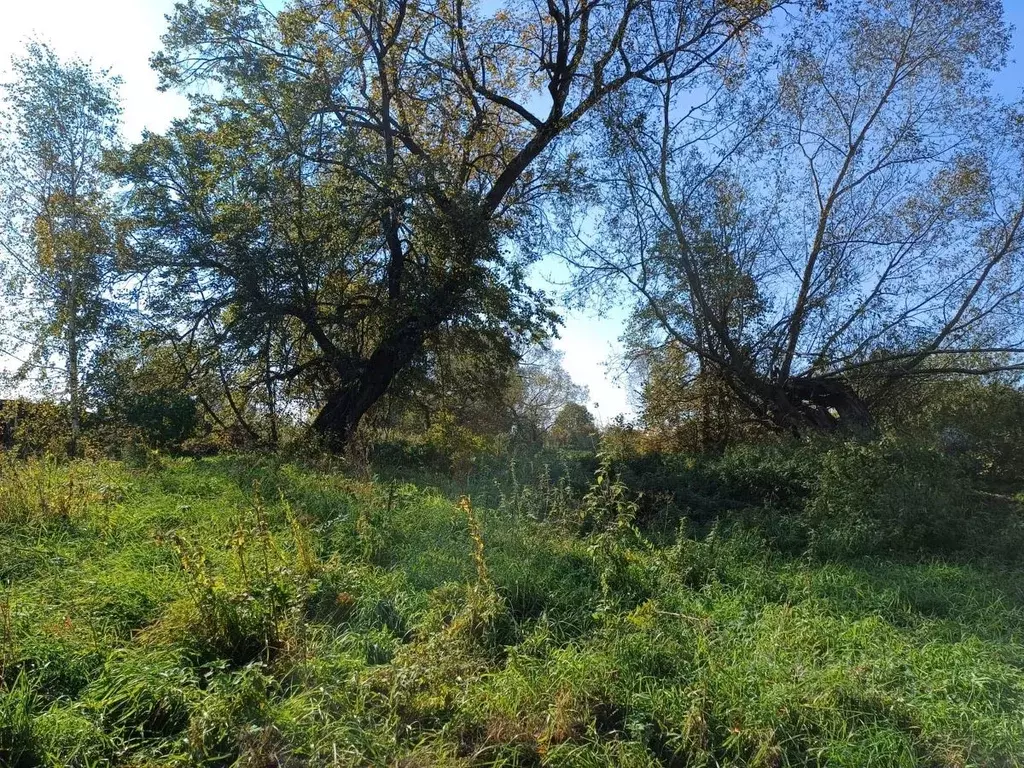 Участок в Московская область, Ступино городской округ, д. Родоманово  ... - Фото 0