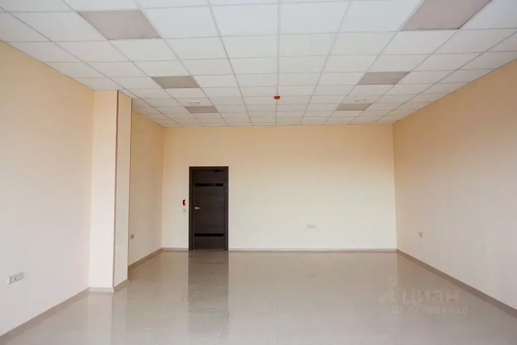 Офис в Санкт-Петербург пос. Шушары, ул. Поселковая, 12с2 (55 м) - Фото 2