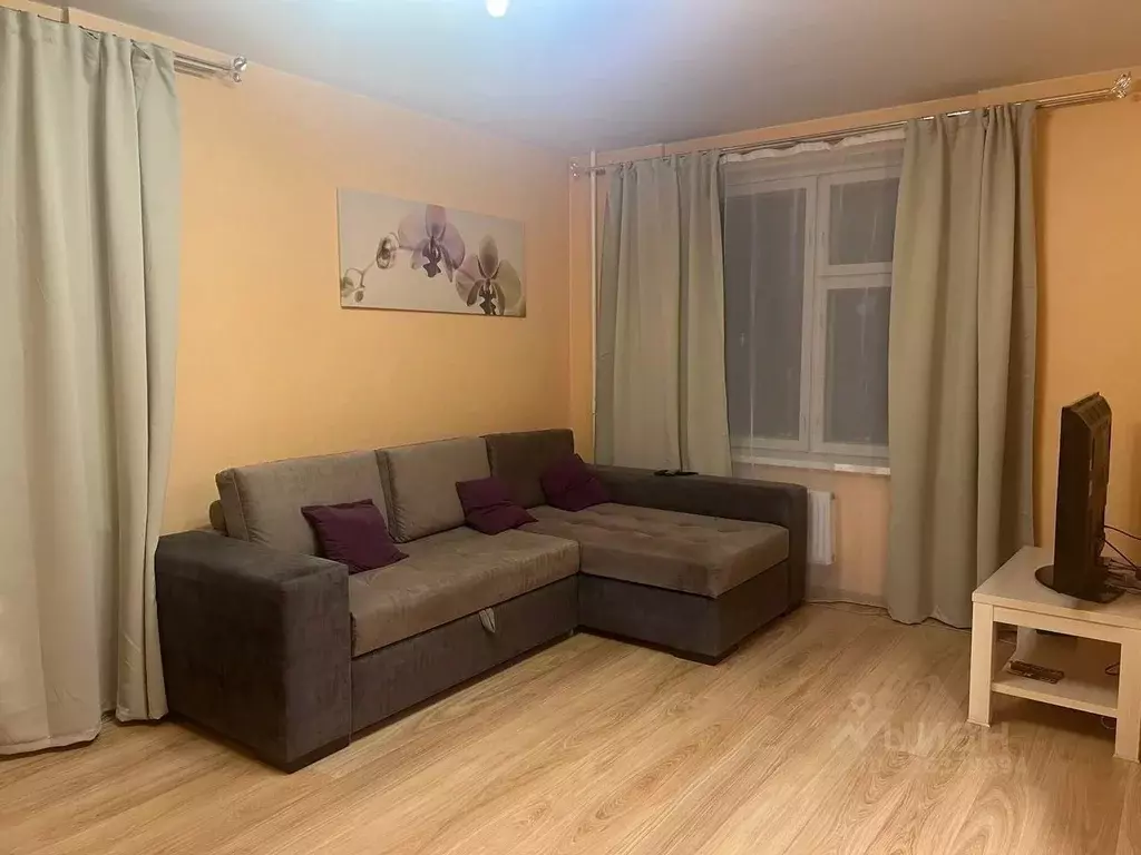 2-к кв. Санкт-Петербург просп. Просвещения, 33к1 (65.0 м) - Фото 2