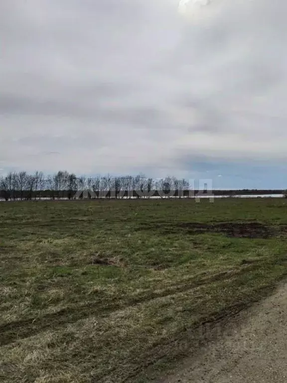 Участок в Томская область, Томский район, д. Казанка ул. Озерная (34.0 ... - Фото 2