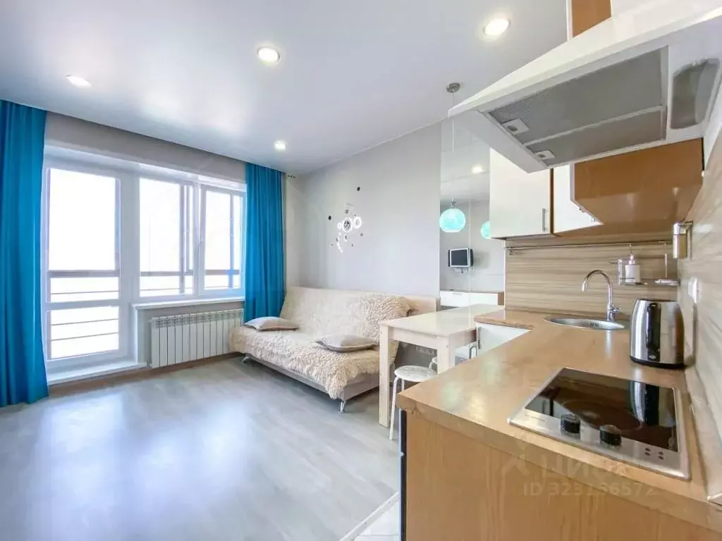 Студия Иркутская область, Иркутск проезд Юрия Тена, 12/1 (25.3 м) - Фото 2