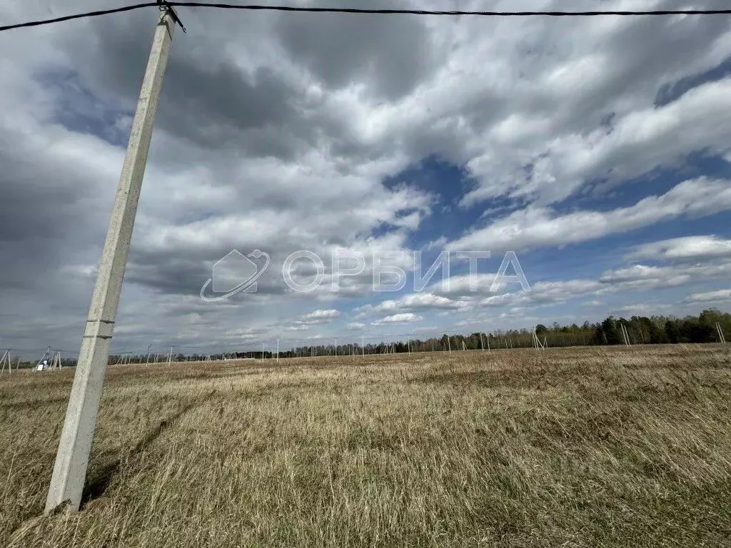 Участок в Тюменская область, Тюменский район, д. Малиновка  (10.0 ... - Фото 1