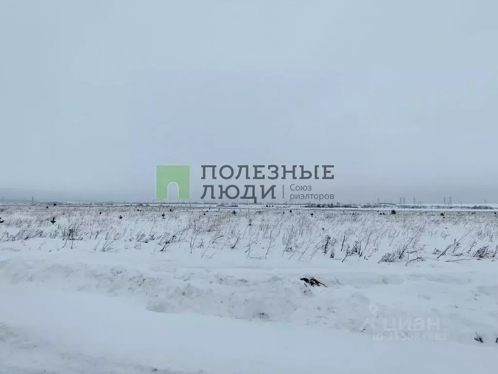 Участок в Татарстан, Тукаевский район, с. Биклянь ул. Чкалова (15.0 ... - Фото 1