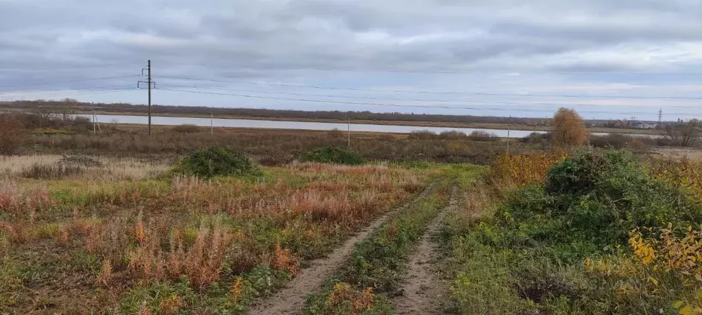 Участок в Новгородская область, Новгородский район, Савинское с/пос, ... - Фото 0